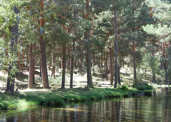 El Lenador I * 요요스델에스피뇨